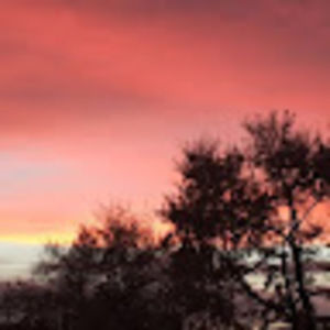 Meet your Posher, Celeste